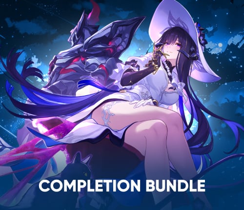 4.2 Completion Bundle